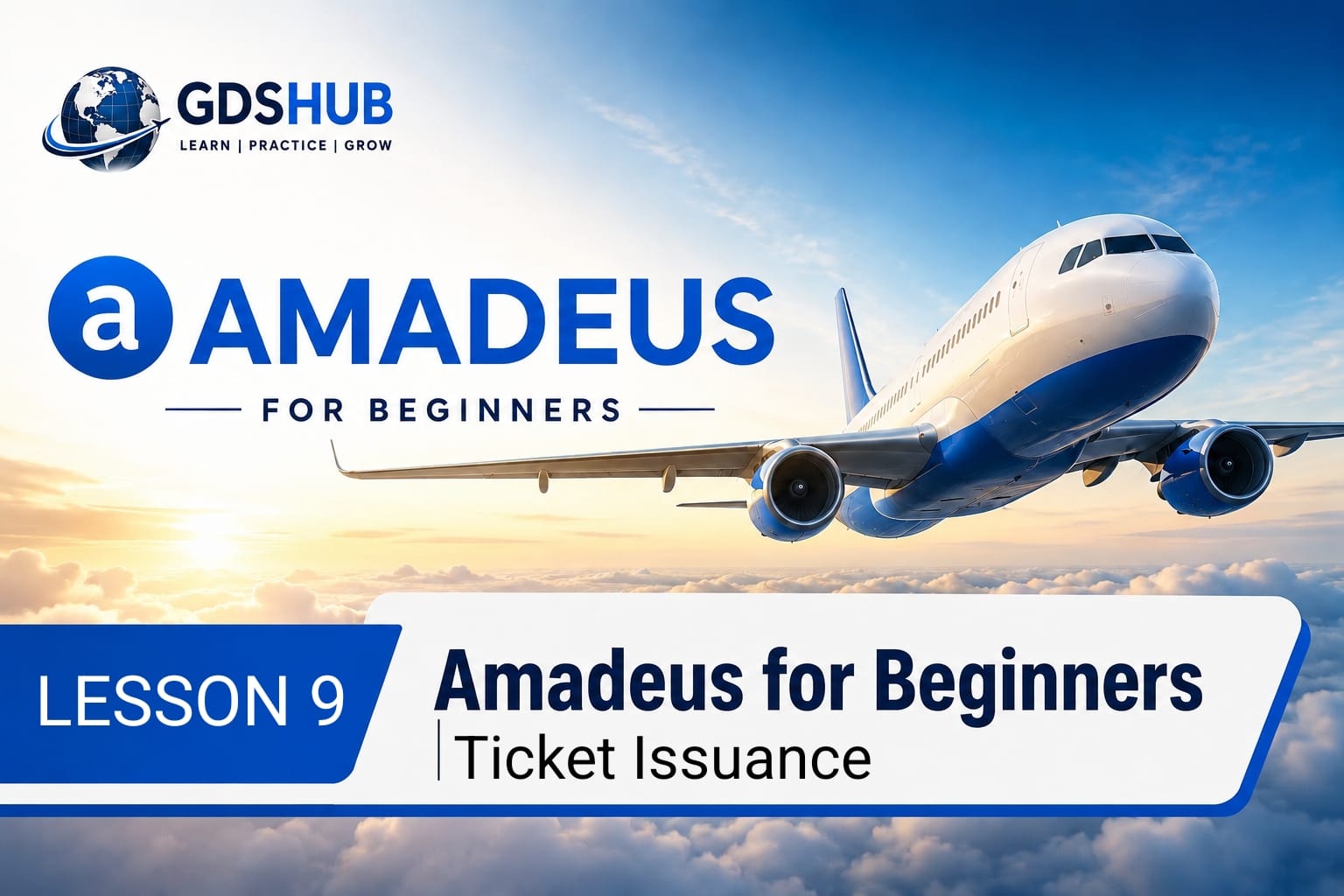 Amadeus Lesson 9: How to issue ticket